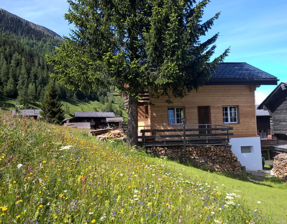 Chalet Daheim Reckingen Kültér fotó